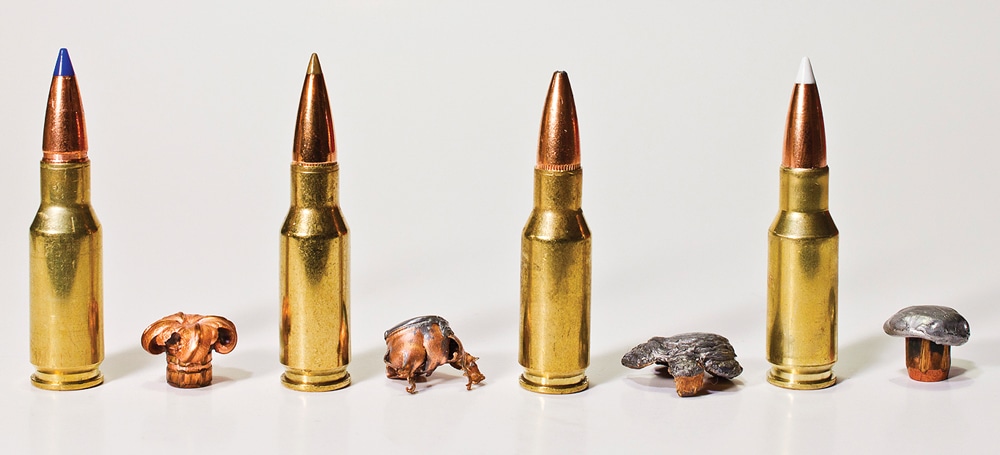 AR-15 Ammunition in different specifications