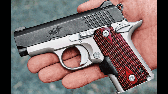 image of Kimber Micro