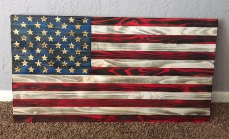 American Flag Gun Case