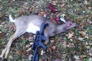 AR-15 is great for deer hunting