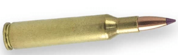 image of .243 Remington