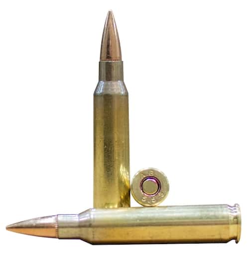 AR 10 ammo