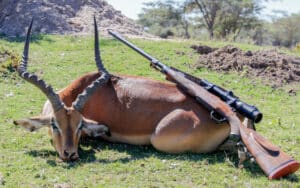 big game rifle for hunting