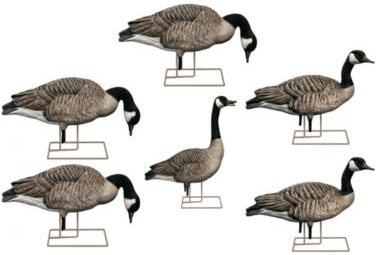 image of Avian-X AXP Goose Decoys Fusion Honker Decoys