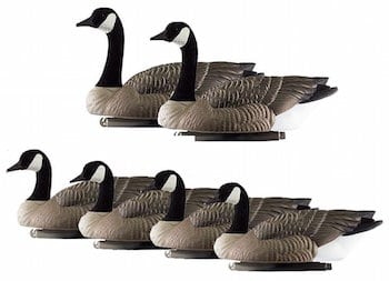 image of DOA Rogue Series Goose Decoys