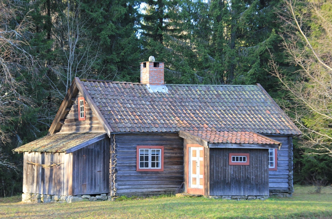 off-grid long cabin forest