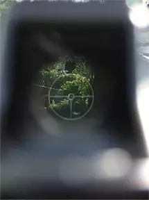 Why A Reflex Sight