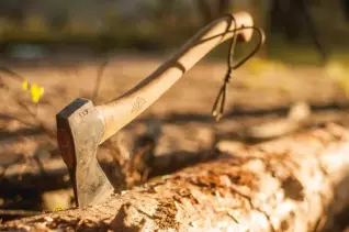 a hatchet for survival