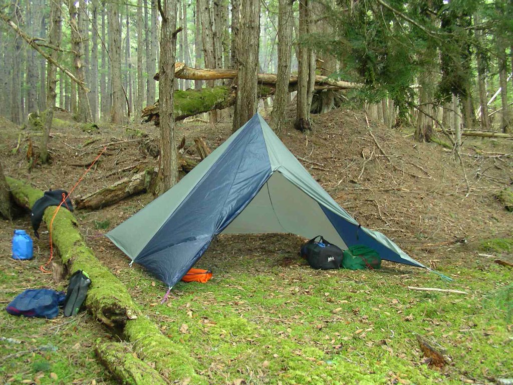 A tarp for survival