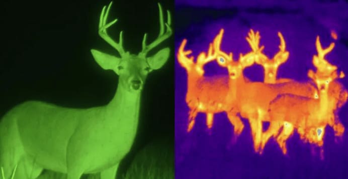 Night Vision vs. Thermal