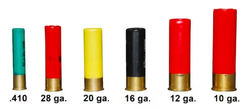 Gun News Daily Shotgun Ammo types