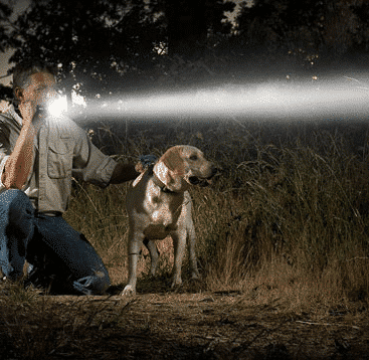 image of a man shines a powerfully bright tactical flashlight in the woods with his dog